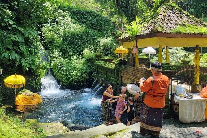 Bali Customizable Multi Language Tour with Driver-Guide - Key highlights you should care about
