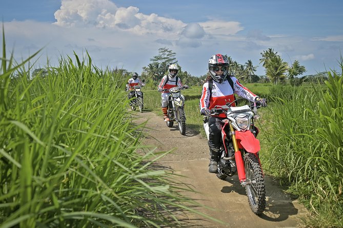 Bali Dirt Bike Adventure - Tegalalang rice terraces: photos, rhythm, and quick breathing room
