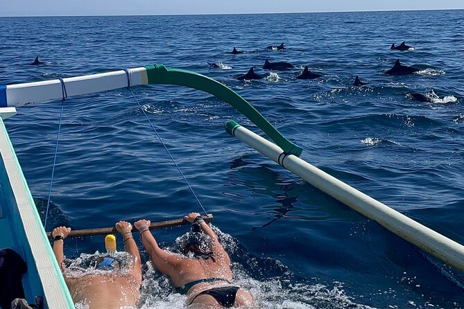 Bali : Dolphin Sunrise Experience Tour Private All Inclusive - Key things I’d circle before you go