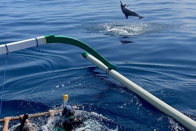 Bali : Dolphin Sunrise Experience Tour Private All Inclusive - Snorkeling equipment included, so plan for a water-ready day