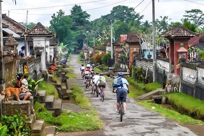 Bali Downhill Cycling and White Water Rafting - 2.5 Hours of Downhill Cycling Through Rice Paddies and Temples