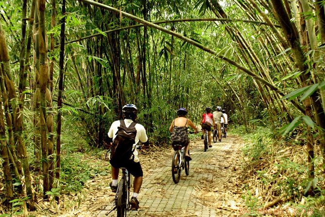 Bali Downhill Cycling and White Water Rafting - Ayung River Rafting: 2 Hours of Rapids, Carvings, and Waterfalls