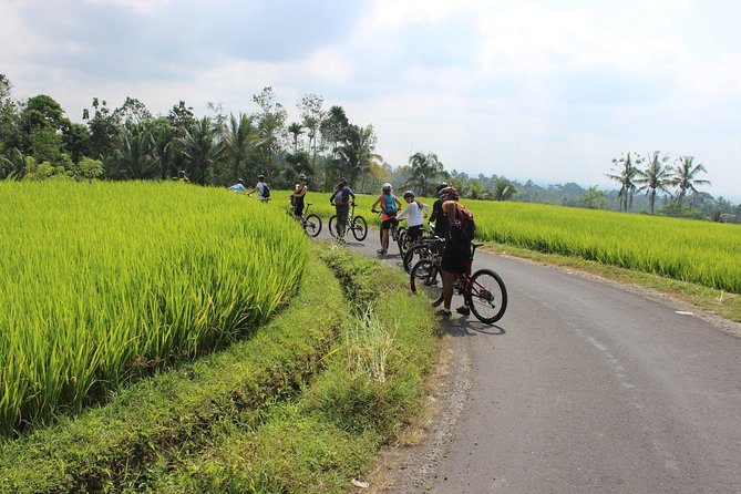Bali Downhill Cycling and White Water Rafting - What the Professional Guides and Safety Gear Actually Mean