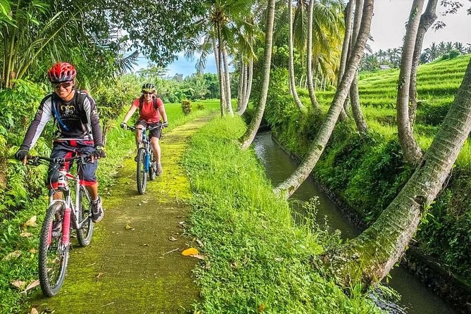 Bali Downhill Cycling and White Water Rafting - Cycling Finishes in Ubud, Then Lunch Resets the Day