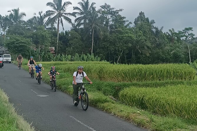 Bali Downhill Natural Cycling Tour & visit Volcano - Balai Desa Pekraman Pukuh: choosing a bike and getting set up right