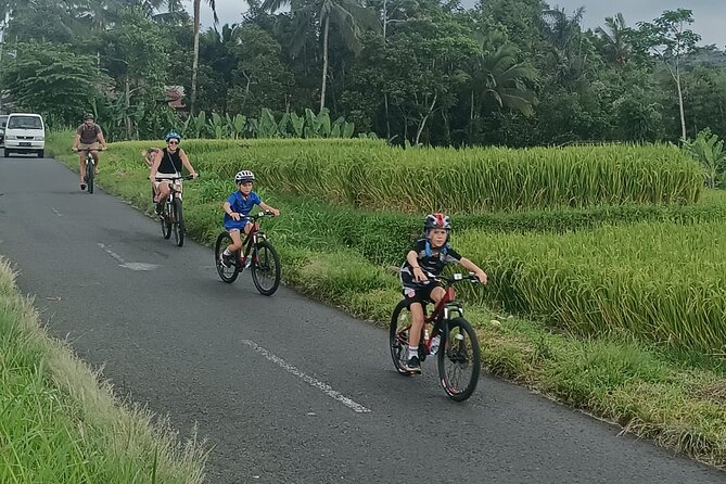 Bali Downhill Natural Cycling Tour & visit Volcano - Manukaya village ride: the slow, scenic downshift