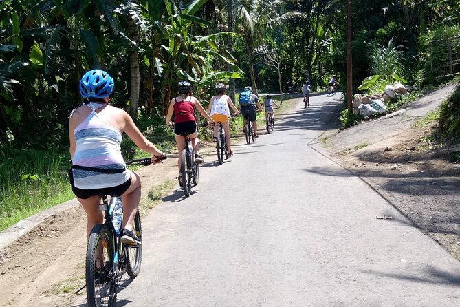 Bali Downhill Natural Cycling Tour & visit Volcano - Temples, a Balinese home visit, and cultural stops that feel specific