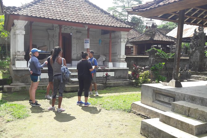 Bali Eco & Educational Cycling Tour - A Mountain-View Ride, Not Another Beach Day