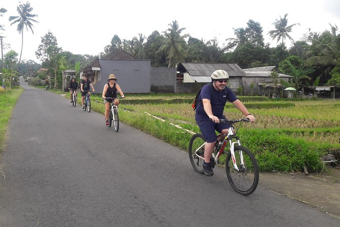 Bali Eco & Educational Cycling Tour - The Downhill Back-Road Cycling Through Villages and Rice Paddies