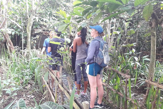 Bali Eco & Educational Cycling Tour - Family-Friendly Safety: Baby Seats Included for Real