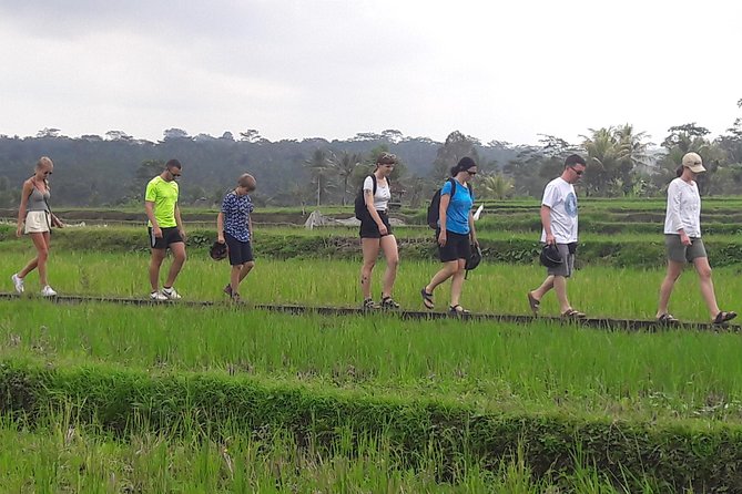 Bali Eco & Educational Cycling Tour - Price and Value: What You’re Really Paying For