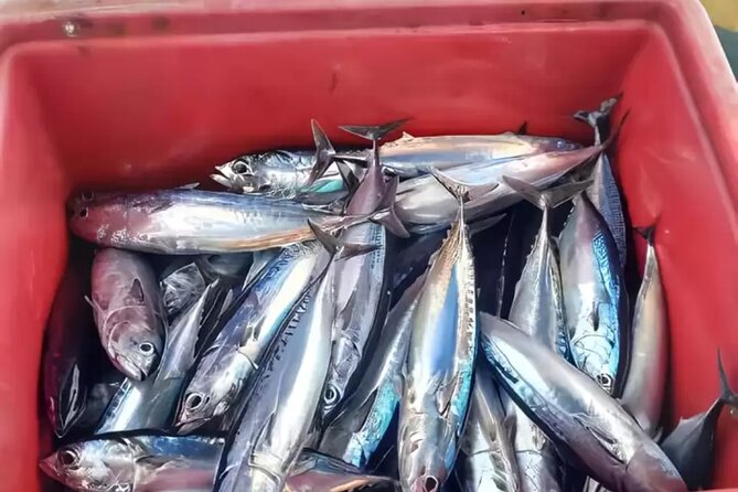 Bali: Fishing Charter Private Boat - A Ubud Fishing Charter That Feels Personal, Not Pre-Packaged