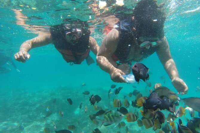 Bali: Fishing trip & Blue Lagoon Snorkeling with Lunch - Blue Lagoon snorkeling: coral reefs and the first fish-spotting chance