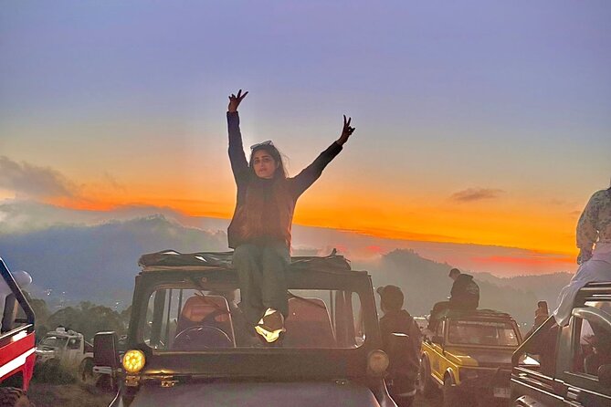 Bali Full Day Customized Private Tour - How the day actually feels: start in Ubud, then choose your tempo