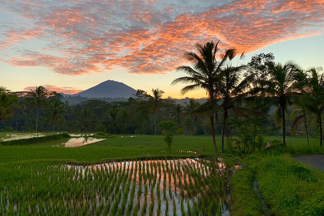 Bali Full Day Photography Tour - Price and value: what you get for $246.16 per person
