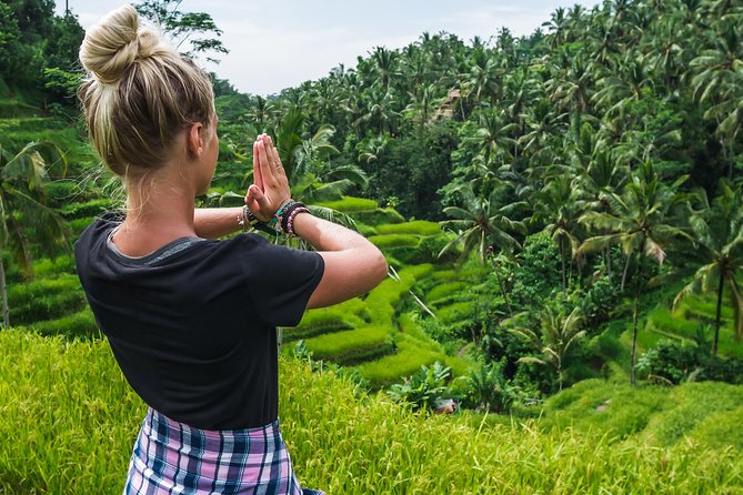 Bali Full Day Tour: Highlights of Ubud and Hidden Waterfall - Tegalalang Rice Terrace: walk the paddies, then slow down