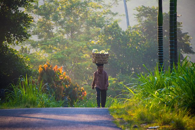 Bali Half Day Photography Tour - Pacing for a four-hour shoot: how to make the most of every stop