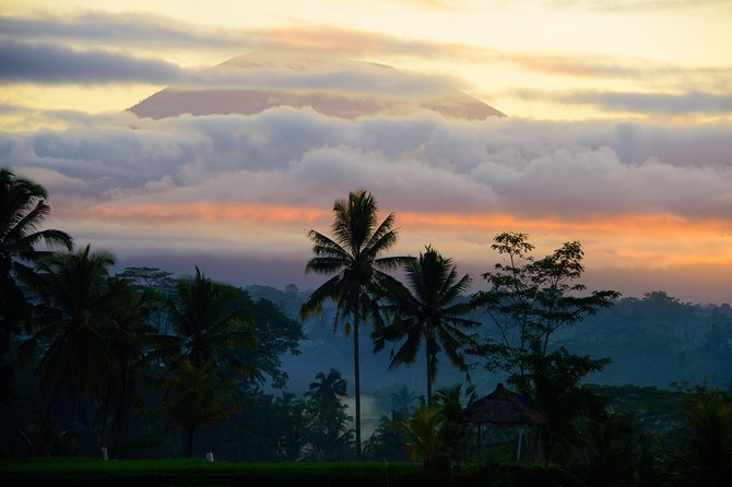 Bali Half Day Photography Tour - Price and value at $164.11 per person in Ubud