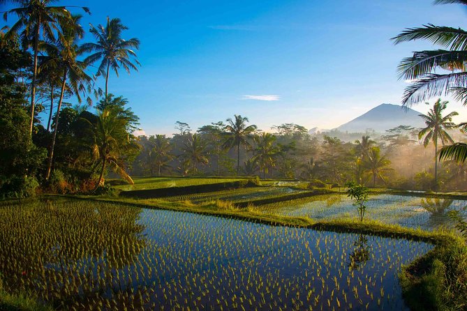 Bali Half Day Photography Tour - Tirta Empul Water Temple: photographing purification and ceremony respectfully