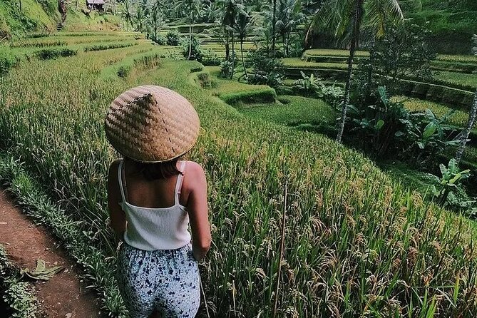 Bali Half Day Trip : All-Inclusive and Private Guided Tour - Private Hotel Pickup, Then a 6-Hour Ubud Rotation