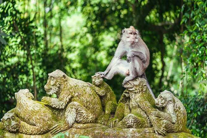 Bali Half Day Trip : All-Inclusive and Private Guided Tour - Tirta Empul Temple: Holy Water Purification Rituals Up Close