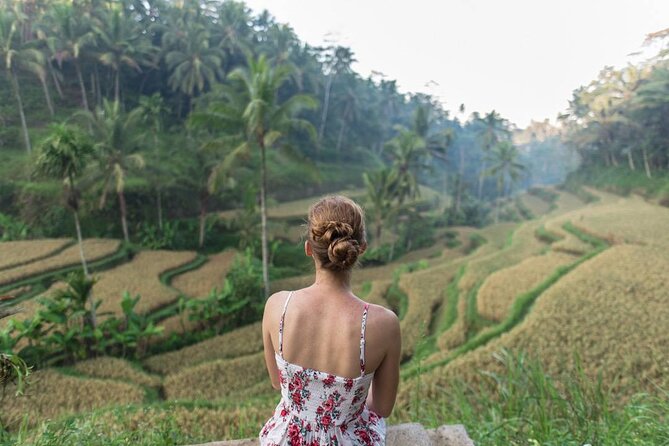 Bali Half Day Trip : All-Inclusive and Private Guided Tour - Who Should Choose This Private Half-Day Tour in Ubud?