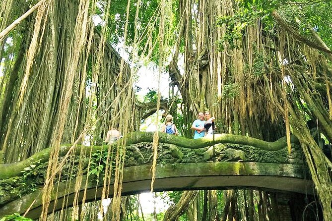 Bali Holy Bathing Ritual and Ubud Highlights tour - Why This Ubud Private Tour Works So Well
