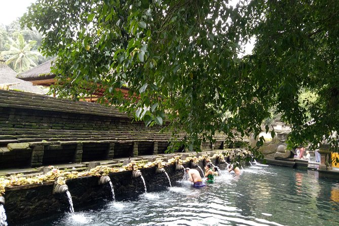Bali Holy Bathing Ritual and Ubud Highlights tour - Price and Value for a Full-Day Private Day ($31)