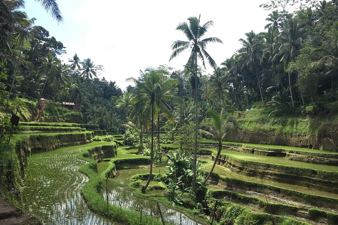 Bali Individual Route With Private English Speaking Driver - Why private transport is worth it in Bali