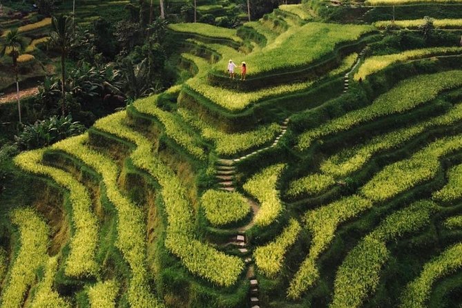 Bali Instagram Tour - All Inclusive - Private chauffeur value: pickup, transfers, and real group control