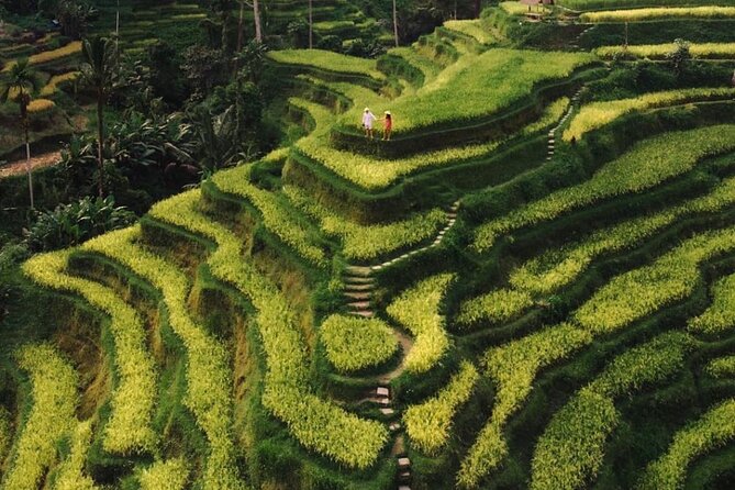 Bali Instagram Tour - All Inclusive - Tukad Cepung Waterfall at 15:00: where the light helps
