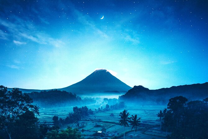 Bali Instagram Tour- Most Scenic Spots in Bali - Tunas Bali Luwak Coffee: coffee and tea plantation break