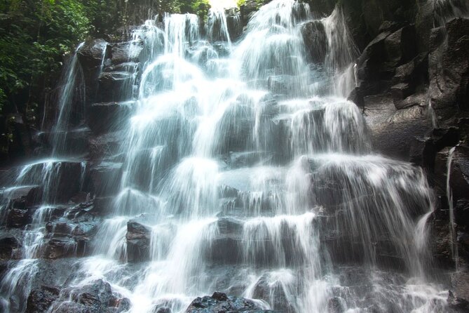 Bali Instagram Tour- Most Scenic Spots in Bali - Who should book, and who should think twice