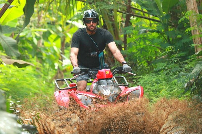 Bali Jungle ATV Quad Bike - Price and value at about $40, with the right expectations