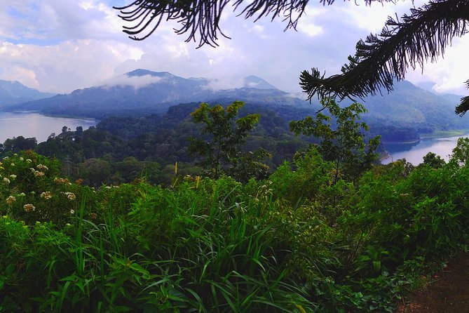 Bali Jungle Trekking and Lake Canoeing Tour - North Bali’s cooler side: why this day feels different
