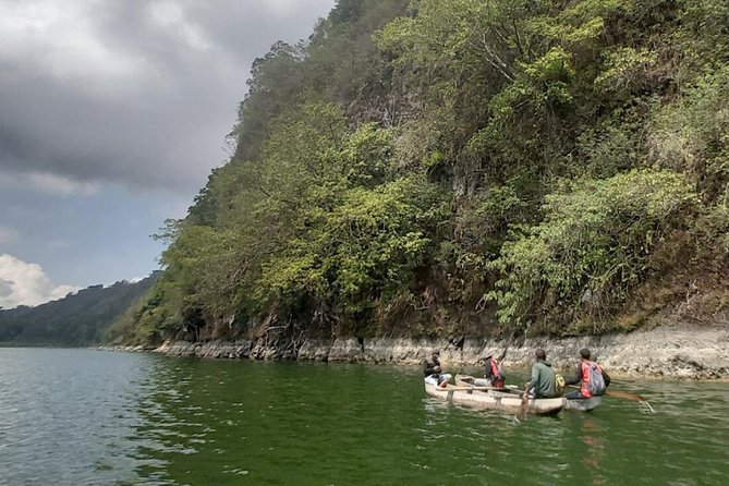 Bali Jungle Trekking and Lake Canoeing Tour - The Buyan Lake trek: big trees and bigger views
