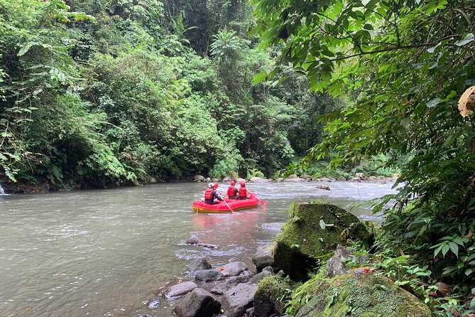 Bali Jungle White Water Rafting Adventure - Value Check: $51.29 for Rafting Plus Lunch, Gear, and Transport