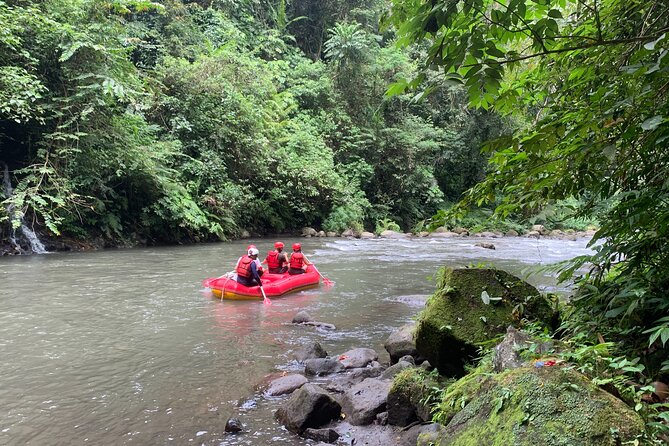 Bali Jungle White Water Rafting Adventure - Should You Book Bali Jungle White Water Rafting on the Ayung River?