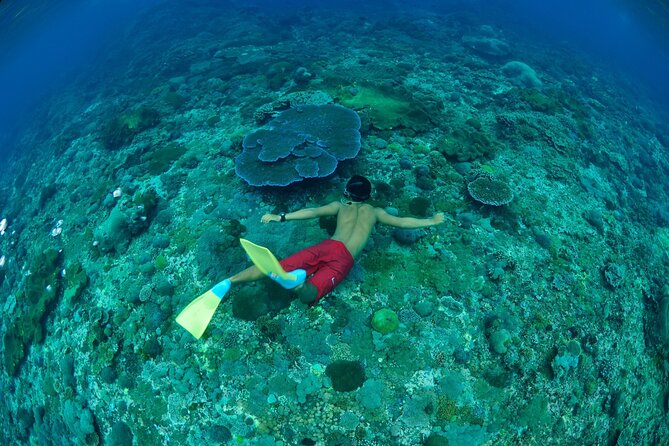 Bali Lembongan Island Beach Club Day Trip - Unlimited banana boat rides: the activity that turns into the highlight
