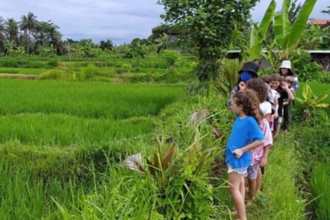 Bali: Lempuyang Temple, Waterfall & Rice Terrace Private Tour - Tegalalang Rice Terraces and Subak irrigation context