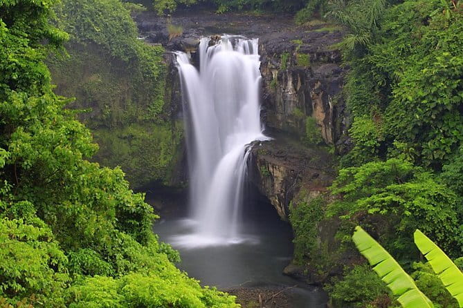 Bali Lempuyang Temple, Waterfall with Rice Terrace Tour - Stop 6: Tampaksiring tea and coffee tasting reset