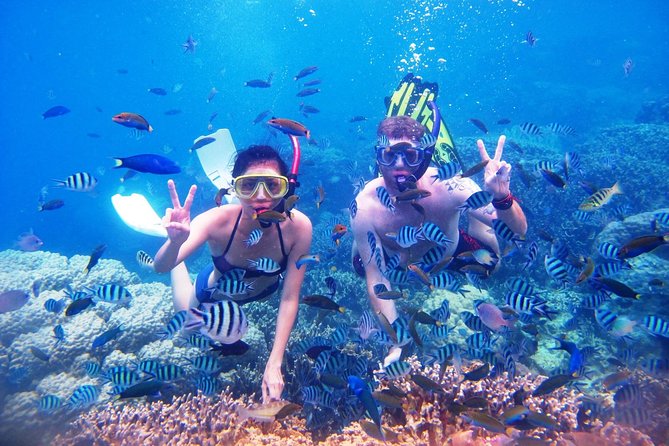 Bali Menjangan Island Snorkeling Day Tour - Snorkeling Menjangan Island: what you’ll likely see