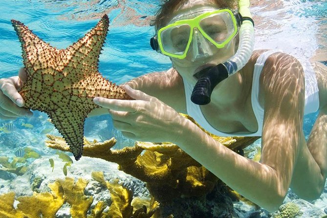 Bali Menjangan Island Snorkeling Day Tour - What to bring (and what you should not assume)