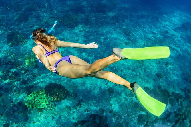 Bali Menjangan Island Snorkeling Day Tour - Pricing and value: is $132 a smart buy?
