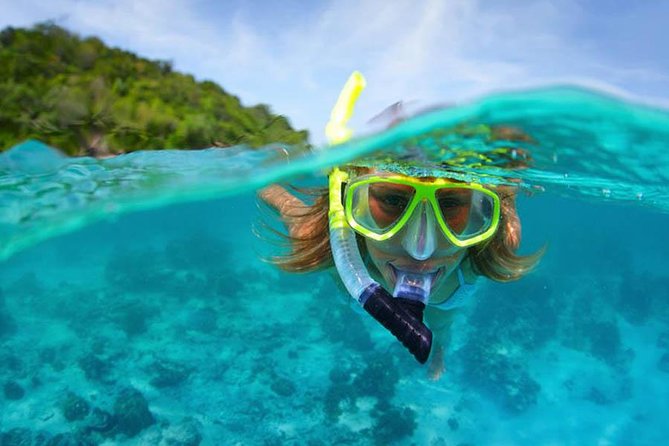 Bali Menjangan Island Snorkeling Day Tour - Menjangan National Park: what’s included and why it matters