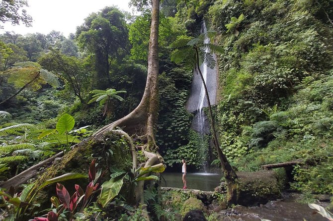 Bali Most Scenic Waterfalls Trekking - Who Should Book This (and Who Should Think Twice)