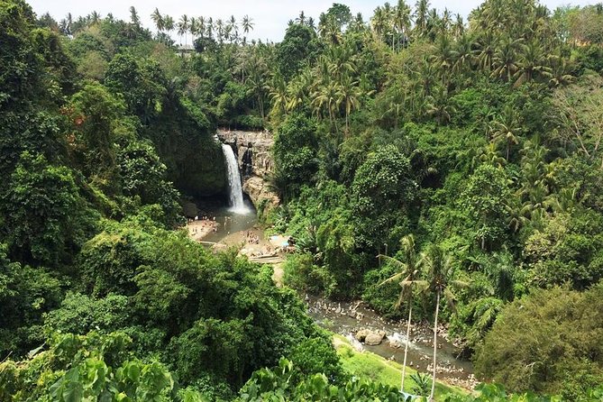 Bali Night Market Experience and Ubud Highlights tour - A Luwak Coffee Tasting Moment and the Culture Thread