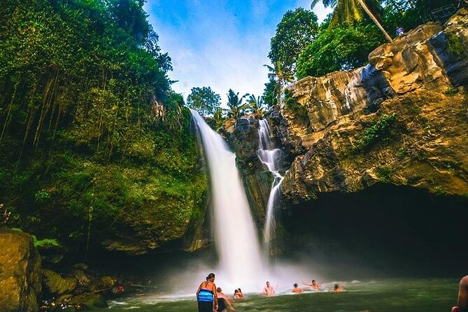 Bali Night Market Experience and Ubud Highlights tour - The Private Car Advantage, Pickup, and How to Time Your Day