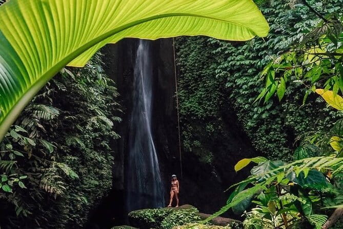 Bali : Northern Bali Private Day Trip with Transfer - Key highlights that make this route worth your time