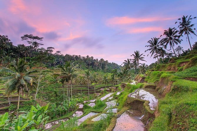 Bali : Northern Bali Private Day Trip with Transfer - Stop 2: Leke Leke Waterfall, scenery time and the swim option